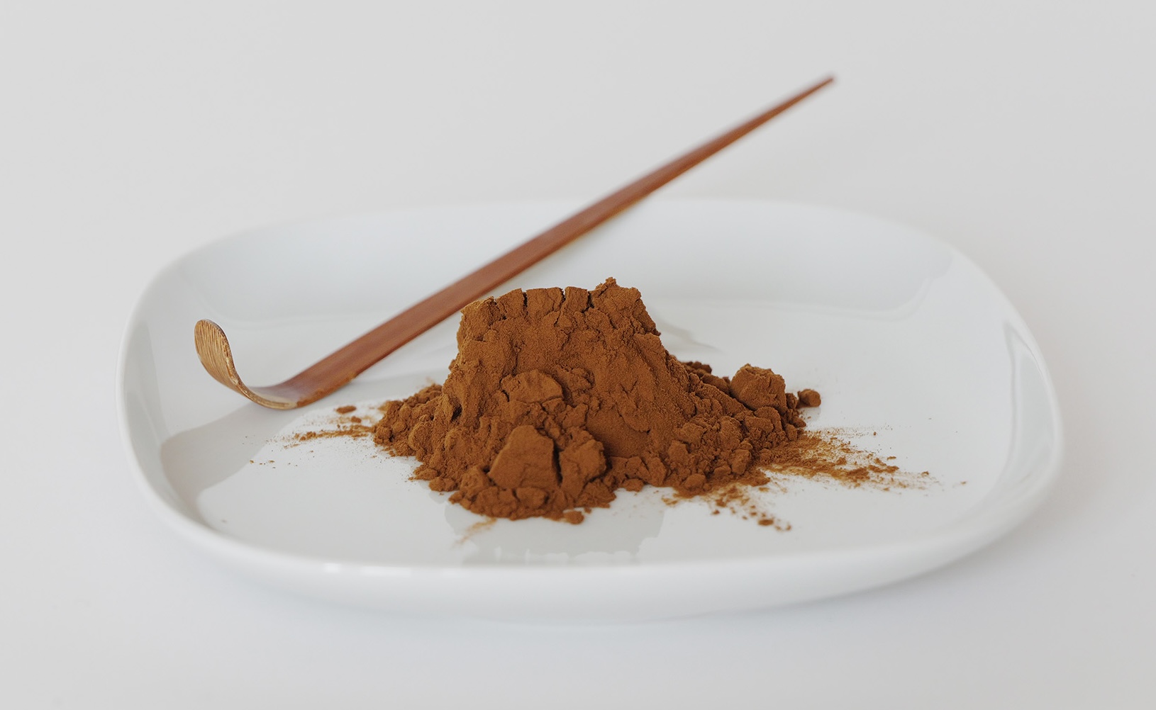 SILVA Ember Powder shop